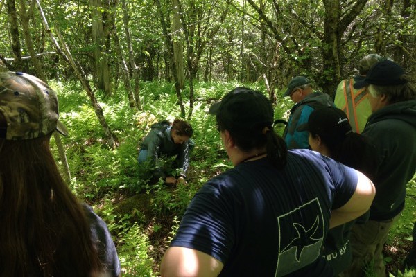 Elizabeth Jessome shows participants how to identify beech fern on a Watershed Walk at Kelly Lake in 2016 - photo: ACAP Cape Breton